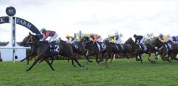 My Question To You - Warwick Farm - 25/04/2014
